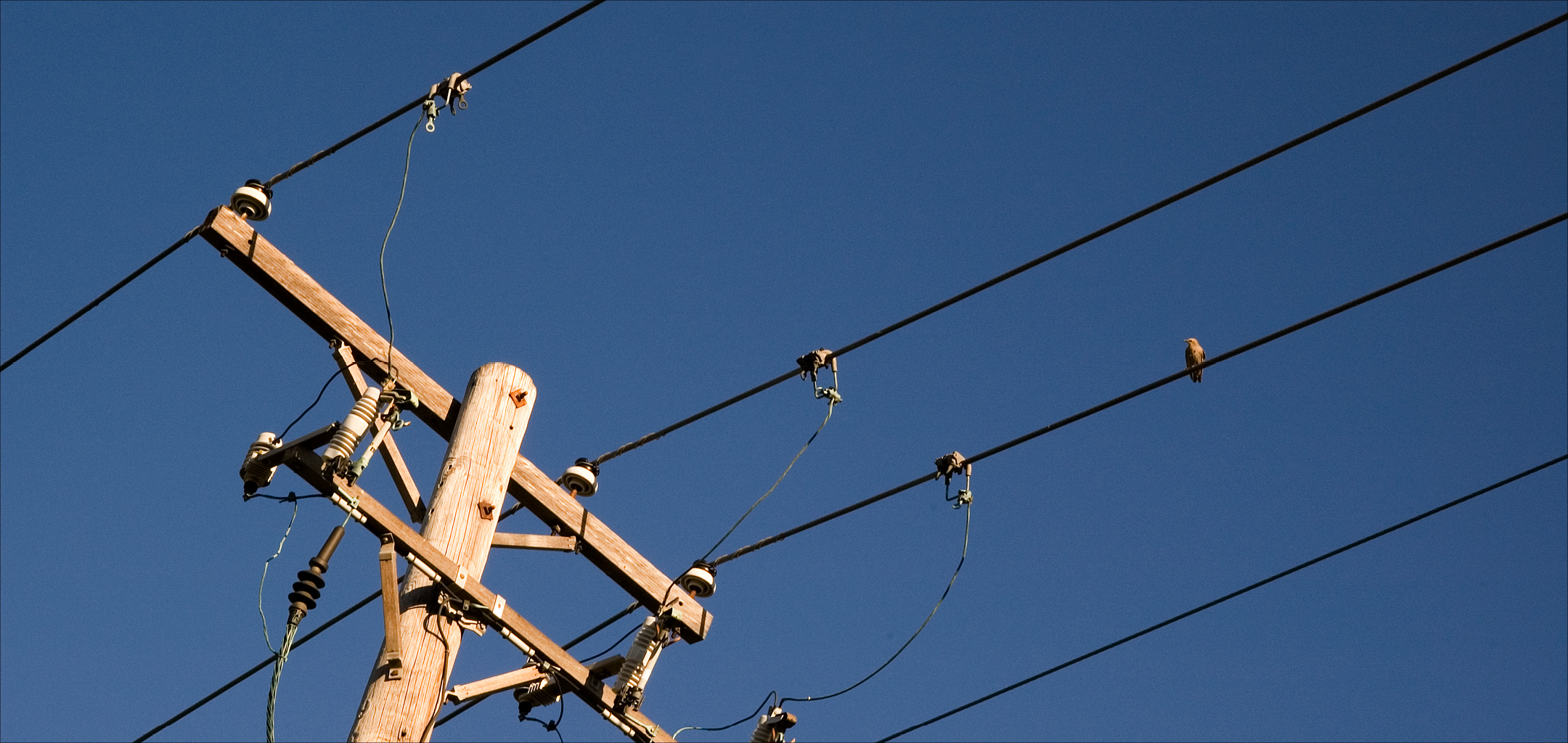 Fidelity_Group_Utilities_Colborne_Ontario_Website_lines